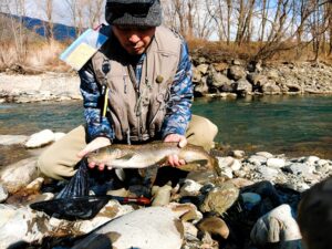 解禁日2.16渓流釣り釣果！！５５ｃｍ超えのブラウントラウト